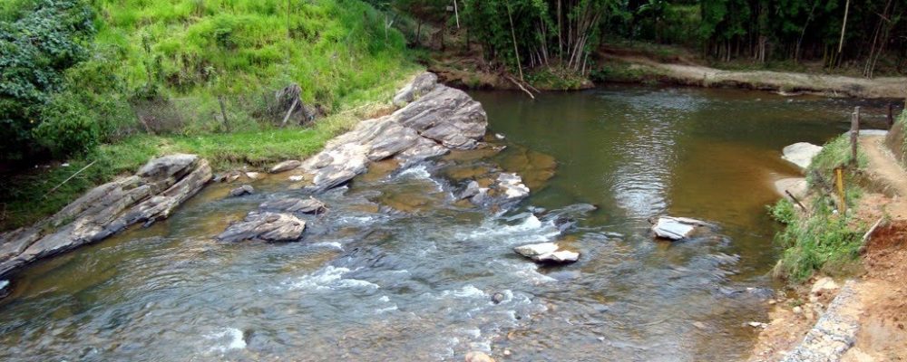 Piscina, um reino de águas claras