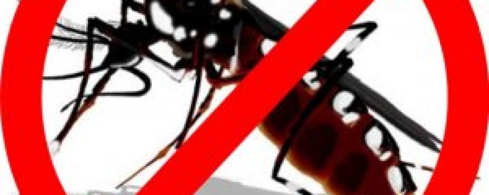 Cuidados com a Dengue em sua Piscina