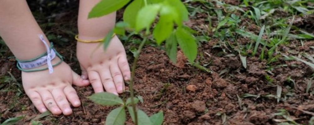 As mudanças que provocamos no meio ambiente e o nosso futuro