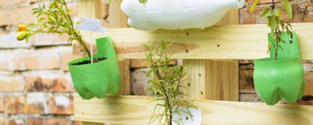 Casa Sustentável – Como ter uma área de lazer de bem com o meio ambiente.