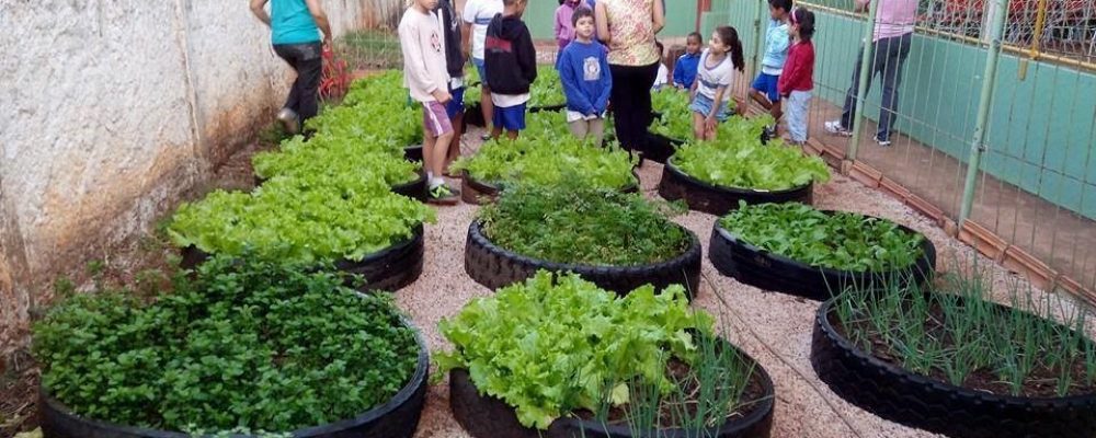 Práticas sustentáveis – Por que a prática de horta urbana tem um grande poder de transformação?