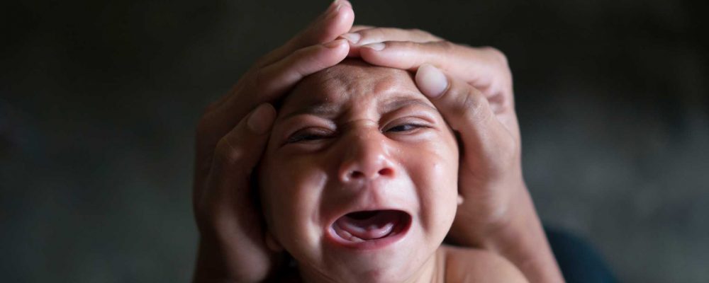 Entenda mais sobre o Zika Vírus