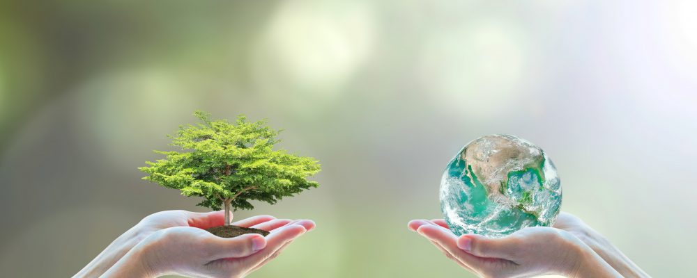 Sustentabilidade: Como reutilizar a água após a drenagem da piscina?