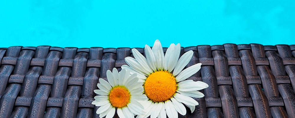 Celebre o início da primavera investindo na sua piscina – e na sua área externa!