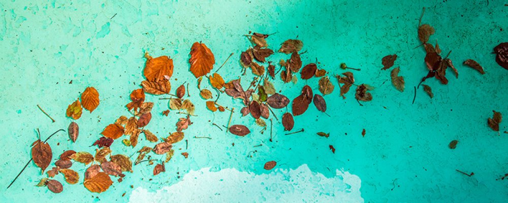 Piscina suja é inimiga da diversão