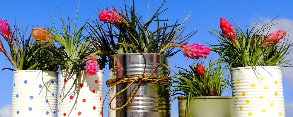 Tendências criativas e ecológicas para a decoração de inverno externa