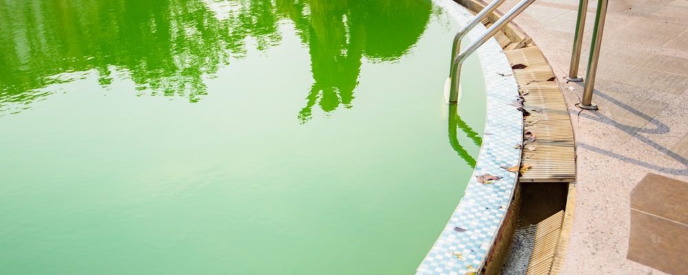 Como tratar água verde da piscina