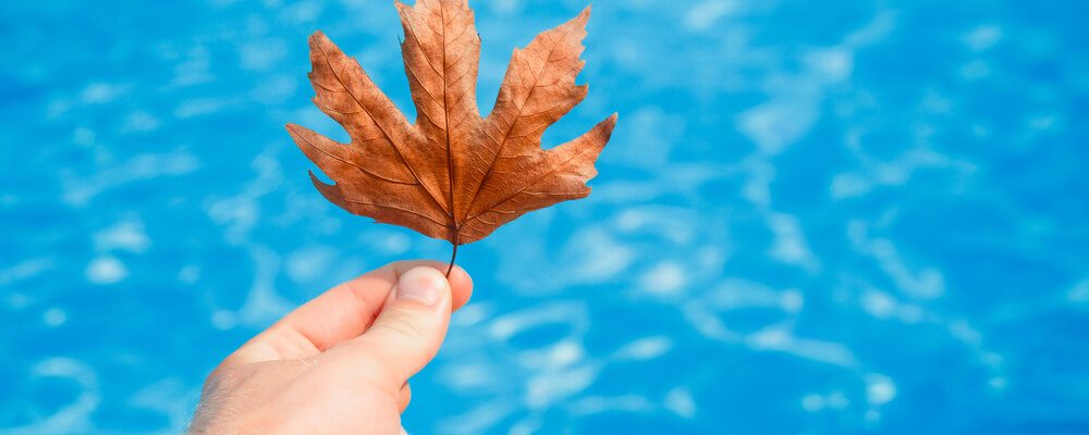 Quais os acessórios essenciais para limpar a piscina?