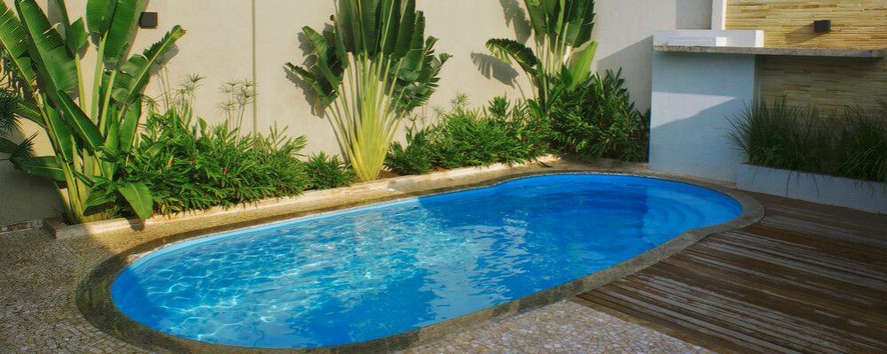 Decoração e piscina: quais as melhores plantas para compor seu quintal?